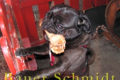 zu Gast bei Bauer Schmidt 04.-08.07.19