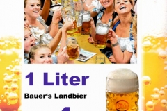 zugast-1311-19702