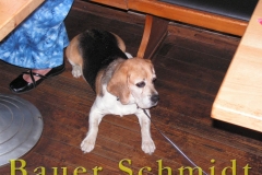 zu Gast bei Bauer Schmidt bis 15.07.19